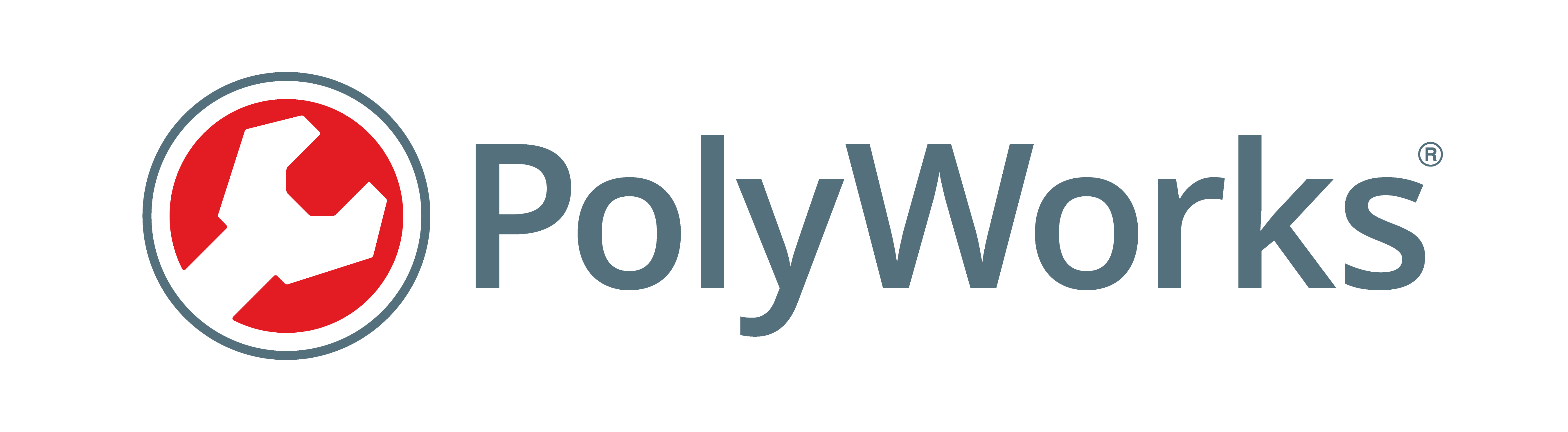 Logo PolyWorks